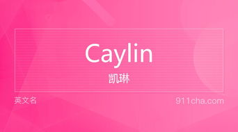 英文名Caylin 的意思 性别含义寓意及印象是什么 英文名 911查询 