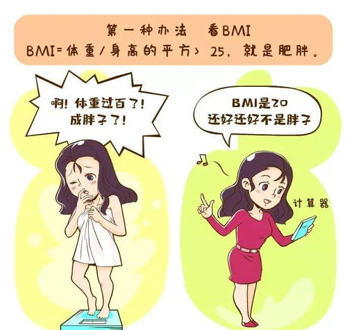 如果心仪的女生说 我好胖 ,你该怎么回答