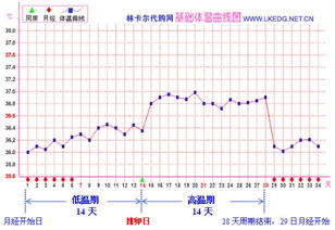 请问一下我6月15号来的月经什么时候是排卵期