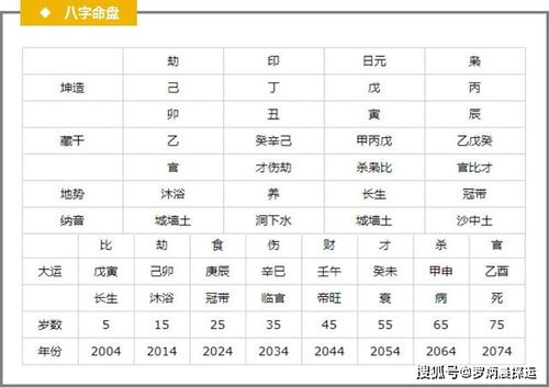 适合当网红主播,有明星潜质的命格