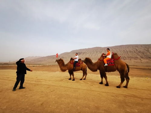 七月吐鲁番旅游(什么季节去吐鲁番好)