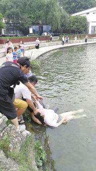 长沙一女子疑因玩手机滑入年嘉湖中 七八名路人合力施救