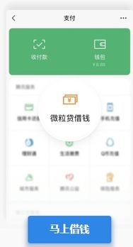 微粒贷还款后微信会有提醒吗,有人知道微信中微粒贷怎么还吗