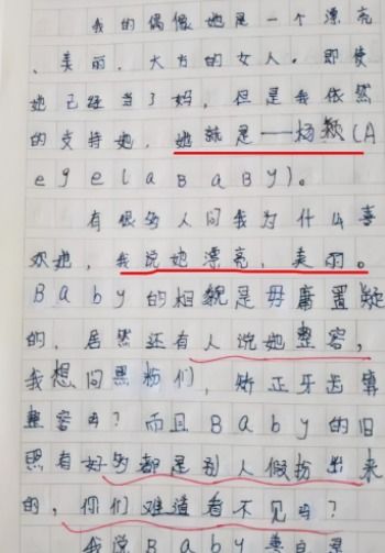 作文我的偶像蒋劲夫600字