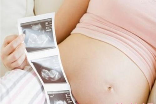 三个月的胎儿有多大 怀孕三个半月的胎儿有多大