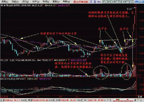 金融街这个股票怎么样,我买了2天,就跌了2天。