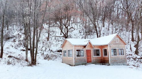 一路向北 我从南方赶来,想在雪国童话里谈一场恋爱