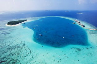 马尔代夫lv岛拍照美景与海洋的完美结合（马尔代夫joali岛）