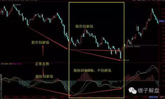 当macd创新低而股价没创新低怎么解读