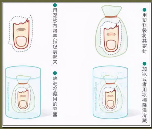 为什么禁止小六壬了