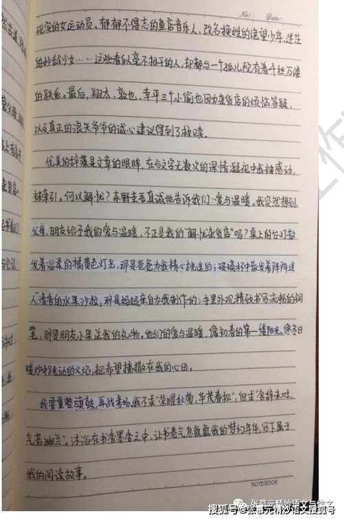 高中议XX摘抄800字