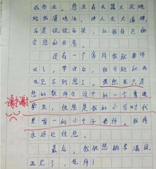 有一种快乐叫 秀作文 妈妈哭晕在厕所,都不好意思开家长会了