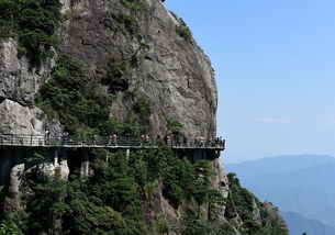 三清山景区迎旅游旺季 日接待旅客突破一万人次