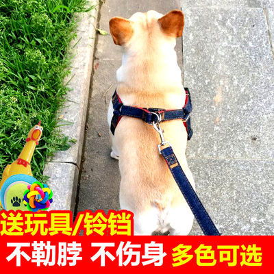 牛仔狗链狗狗牵引绳胸背带狗绳狗链子遛狗绳大中小型犬泰迪金毛