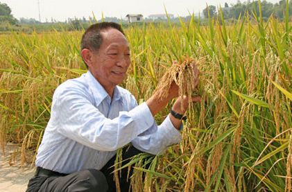 为什么水稻之父袁隆平没有获得诺贝尔奖 