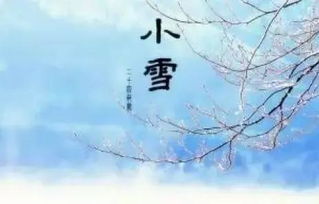 小雪节气的句子短句唯美