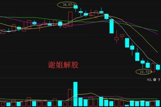 求高手分析中国软件这支股票，周一会怎么走以及近期的趋势