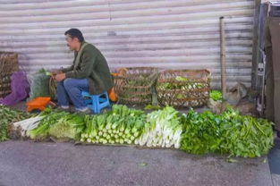 在梅州菜市场卖菜一月挣多少钱 