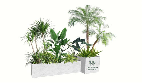阳台度假风热带植物花箱植物搭配设计 