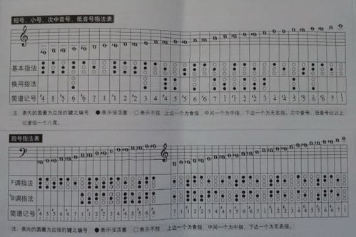 论中音号的基本吹奏法