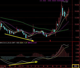 怎么看MACD顶背离