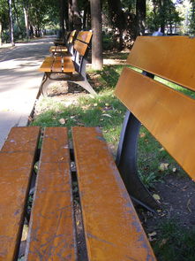 长凳,长椅,公园,夏天,自然,relxation,户外,坐,座位,生活方式 