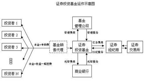 几支基金，请问大家，用天天基金好，还是蚂蚁财富好