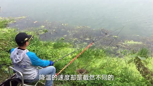 大风降温天,鱼口为何如此暴躁 找准水深是关键 