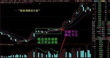 股票的交易量与价格的内在关系