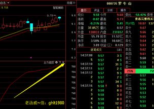 000735 罗牛山会有前景嘛