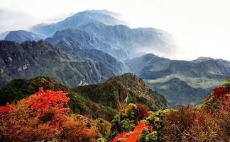 成都周边最热门VS最冷门红叶地,究竟选哪儿去 