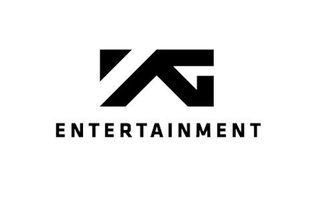 中国投资公司可以购买韩国YG娱乐公司的股份吗？