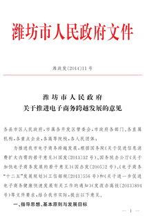 关于推进电子商务跨越发展的意见