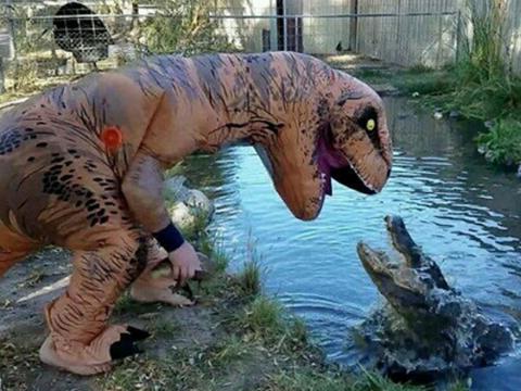 老外穿上恐龙服装,袭击水池中的鳄鱼,鳄鱼的行为把人看懵了