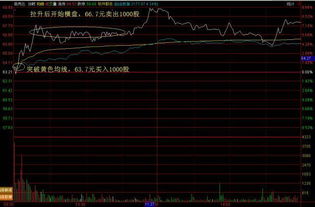 新股中了1000能赚多少