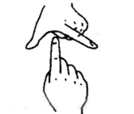 活动回顾 以声之形,传心之音 记 悦动指尖手语角 精品课程第1 2节