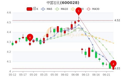 今日股票行情分析马钢今日股票行情中石化股票今日行情？