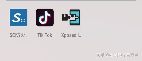 tiktok app 下载_tiktok海外广告开户