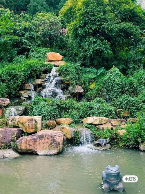 东莞 小森林 指南来了, 享美景,来踏秋