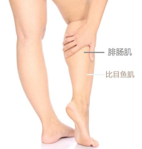 唐嫣的腿很美 美腿很有用的方法 提踵
