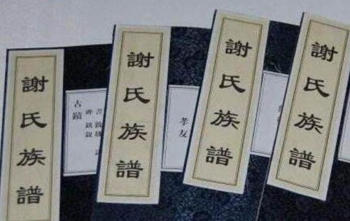 绝了 庞 姓爸爸给娃取了个名字,上户口时工作人员没忍住笑了