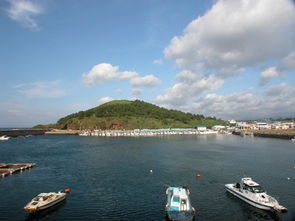 济州岛旅游旺季是几月(济州岛什么时候去最好济州岛游玩时间)