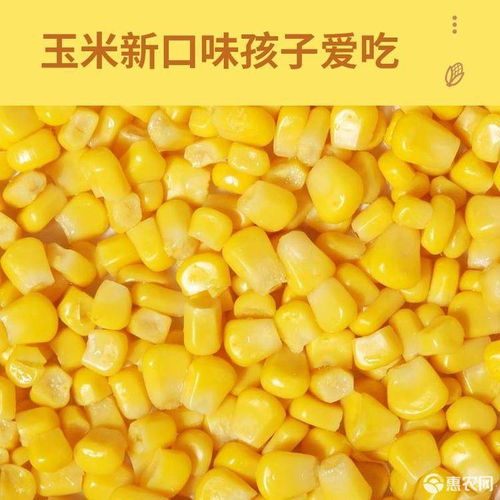 黄金水果玉米生吃甜嫩爆浆多汁现摘新鲜玉米棒子批发价格15.9元 箱 惠农网 