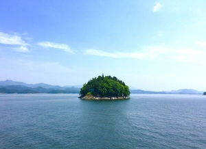 清爽一夏GO 纯玩 千岛湖2日游 西湖雷峰塔 西湖游船 花港观鱼 灵隐飞来峰 千岛湖中心湖区 含船