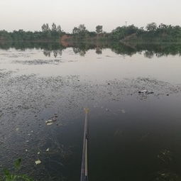 二龙口水库