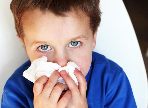 过敏性鼻炎是不治之症 尽早使用益生菌调理,可有效远离过敏