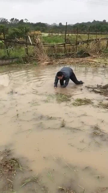 多看几遍 浑水里真的可以抓鱼,看懂了吗 