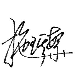 谁能帮我设计一下签名,笔画比较多,求简单点的 名字 施琪繁 