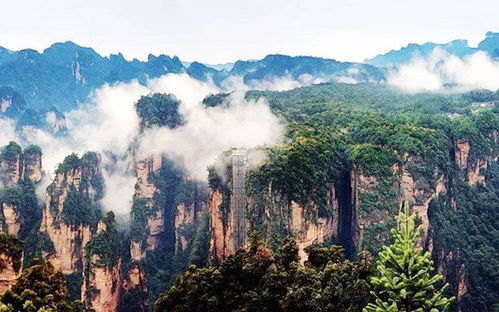 超实用的张家界旅游攻略