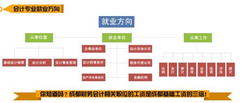 高中生学财务管理考会计证难不难 电子科技大学 